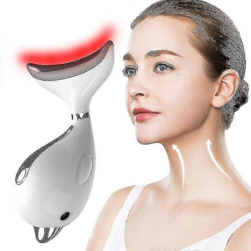 Little Dolphin Electronic Neck Beauty Instrument 1