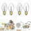 Pack of 4 E12 7W Replacement Bulbs for Sticky Dome Flea Trap 1