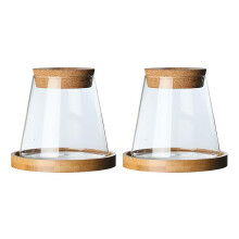 Plant Propagation Jars 2 Pack Glass Propagation Terrarium Vase With Tray Lid Planter Stand Hydroponics Station Model A