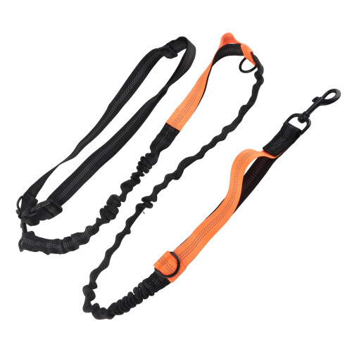 Robuste Bungee-Hundeleine, stoßdämpfende 1