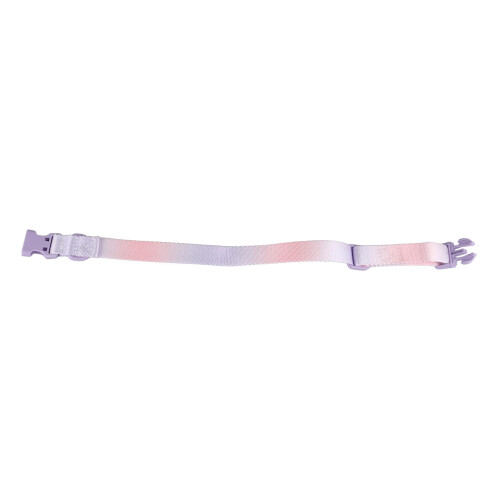 Modisches, farbenfrohes Hundehalsband, 1