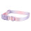 Modisches, farbenfrohes Hundehalsband, 10