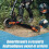 Joyor T10 - Patinete elétrico - 2000 W - rodas de 10 polegadas - bateria 60 V 18 Ah - Max 60KM/H - autonomia de 75 km. 4