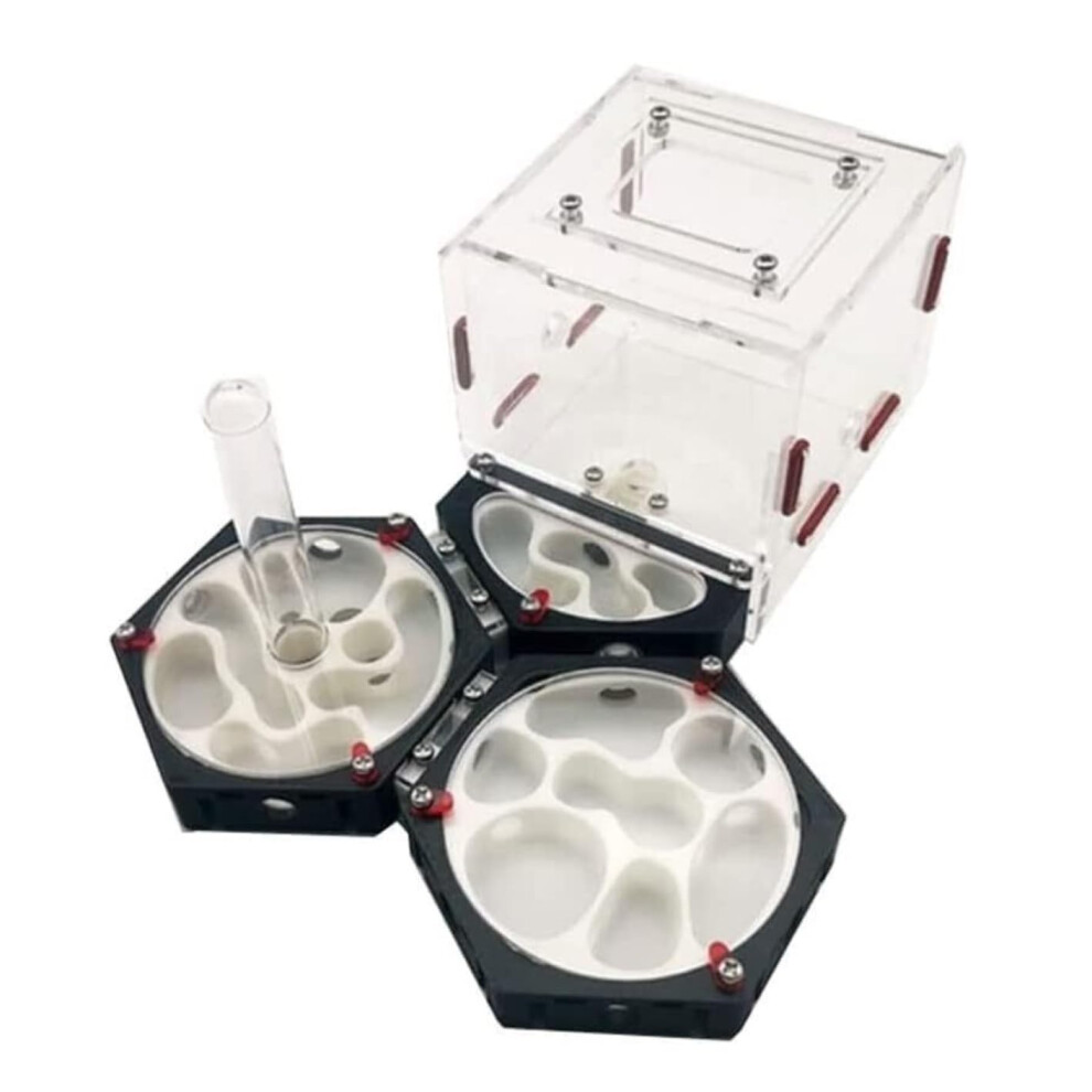Ant Farm Nest Castle Space Station Clear Small Size With Water Tower Ant Habitat Kit For Easy Ant Watching-image-OPC-PKMHHDK-NEW