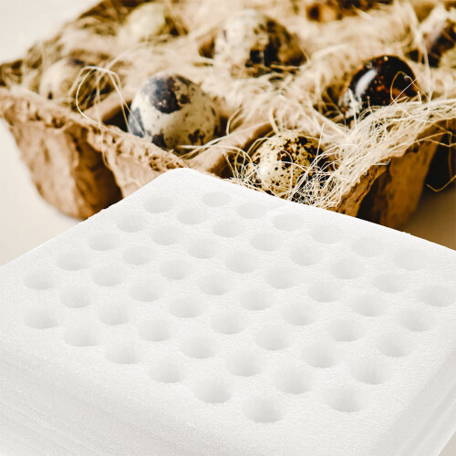 2 wiederverwendbare -eierbox für wachteleier, 2
