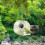 Smart Bird Feeder Nachtsicht Hängende 6