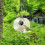 Smart Bird Feeder Nachtsicht Hängende 7