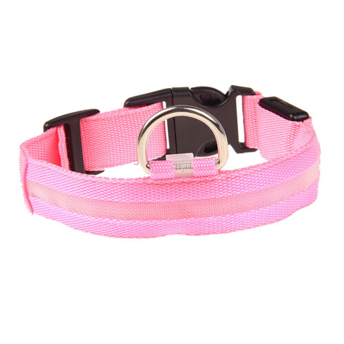 LED-Hundehalsband, Größe M, Schnellverschluss, 1