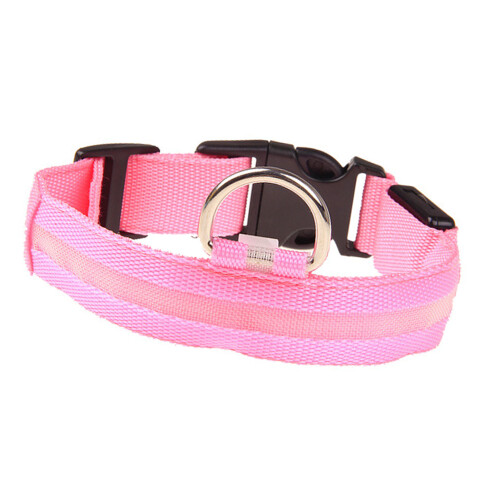 LED-Hundehalsband, Größe M, Schnellverschluss, 2