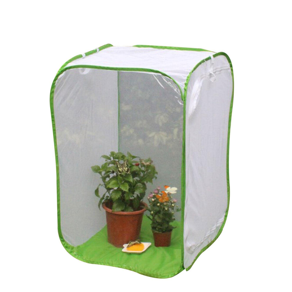 Insect Habitat Safe Mesh Insect Cage With Carrying Handles Breathable For Caterpillars And Stick Insects-image-OPC-PKMJTVK-NEW