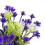 Aquarium Kunstblume Dekor Leuchtende Simulation 15
