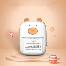 Mini Pocket Printer Bluetooth Inkless Thermal Photo Printer Android iOS Compatible Pocket Size Mini Sticker Printer