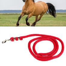 Heavy Duty 6.6ft Horse Lunge Line with Snap Red for Training & Competition