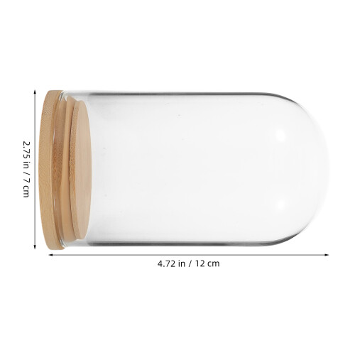 vases en verre pour propagation de base en 2