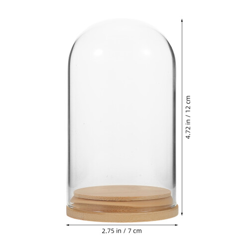vases en verre pour propagation de base en 1