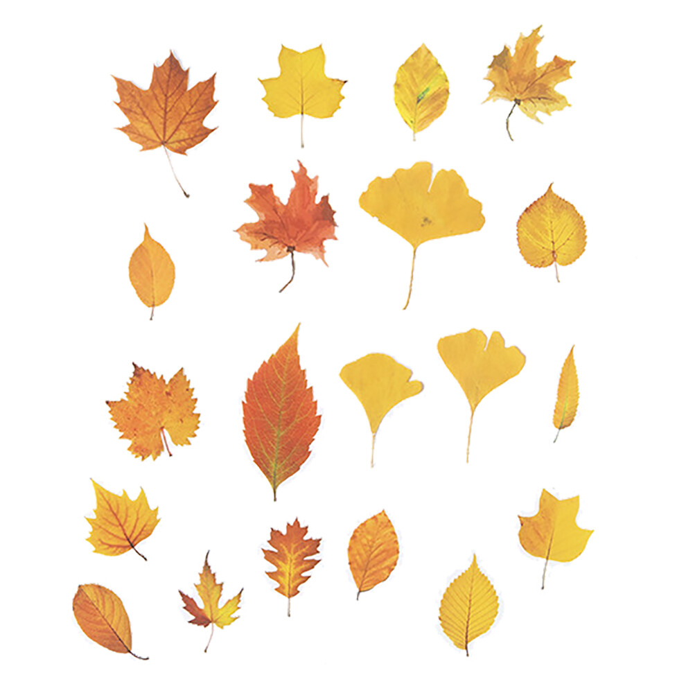 40pcs Fall Leaves Scrapbook Stickers for Journaling & Photo Albums