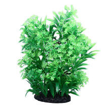 Aquarium Pflanzendekoration Simulation Schöne