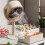 Portable Desktop Range Hood 35x21x15cm Adjustable Suction for Kitchen 12