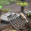 stabiler -Gabelkopf Bodenlüfter für Garten, Feld, 3