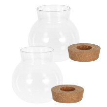 2 pezzi vasi idroponici in 480 ml con in