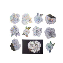 Vintage Plant Flower PET Scrapbook Stickers for Notebooks &amp; Phone Cases