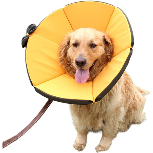Comfortable Pet Recovery Cone Collar Adjustable Soft Cone For Dogs And Cats Multiple Sizes 1