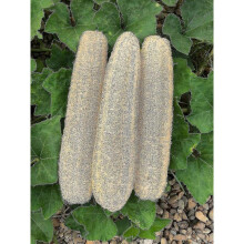 Natural Bath Loofahs Sponges Large Organic Luffa Shower Sponges Skin Body Back Exfoliating Scrubber for Daily Personal Care (3 Pack)