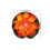6 lampade a fiore per esterni, luci led decorative 2