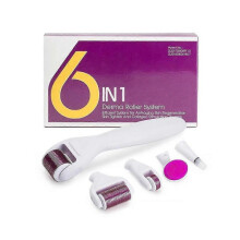 6 IN 1 Derma Roller Kit Needle Skin Care Face Hair Growth Stimulation Therapy