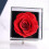 Gift In 100 Languages, Eternal Rose Gift 7