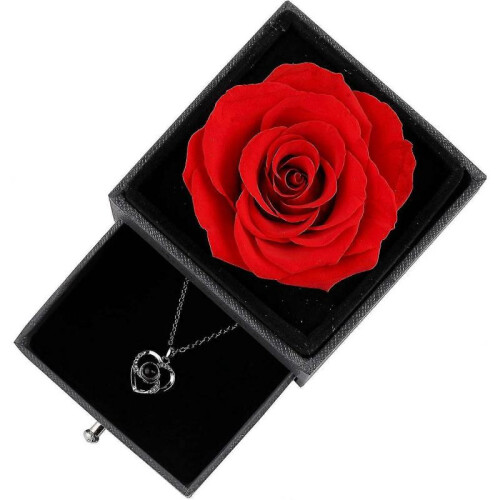 Gift In 100 Languages, Eternal Rose Gift 1