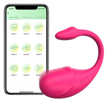 Vibrating Egg APP Remote Control Vibrator G-Spot Wearable Panties Sex Toy For Women