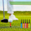 Soft Rubber Top Plastic Golf Tee, Mixed Colors, Pack of 10 8