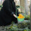 fiori per 3 pezzi in 9
