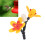 DIY Kolibri-Futterflasche, Recycling, sicher, 12