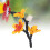 DIY Kolibri-Futterflasche, Recycling, sicher, 11