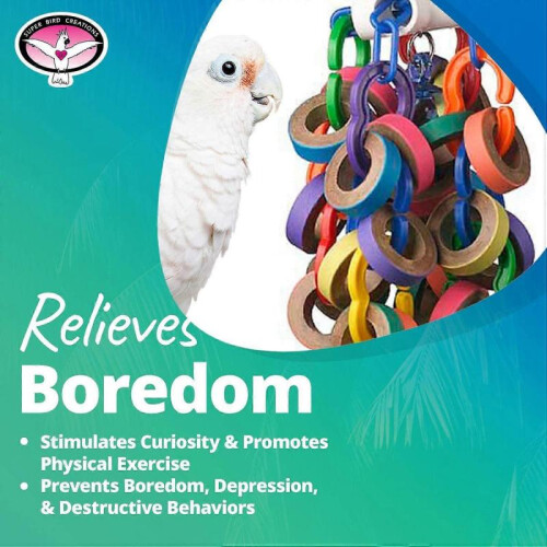 Toy, Large Bird, Refillable Bagel, L38*W11Cm 2