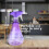 Water Spray Bottles (2 Pack) 500ml  Empty Plastic Mist Liquid Sprayers | Reusable & Refillable (Blue & Purple) 2