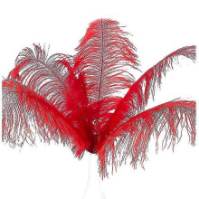 10 Pcs Natural Ostrich Feathers Wedding Party Decoration Red 20-25cm