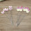Cake Tester B2 Stainless Steel Probe Skewer For Baking Kitchen Cake Testing Tool 2