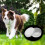 10 stück hunde geruchstraining-dosen, trainingset, aluminium 11