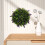 Topiary Lavender Plant Ball Home And Wedding Decor 9