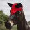 Ear Bonnet Horse Face Mask Breathable Mesh 1pcs 3