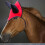 Ear Bonnet Horse Face Mask Breathable Mesh 1pcs 5