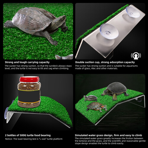 Schildkrötenrampe, Schildkröten-Sonnenplattform,