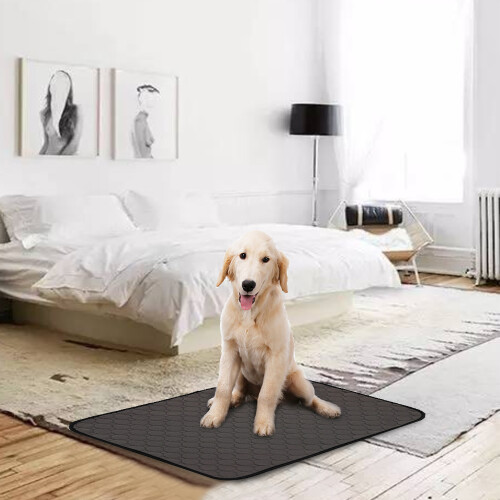 Hunde-Pipi-Pads, Haustier-Trainingsmatte, 2