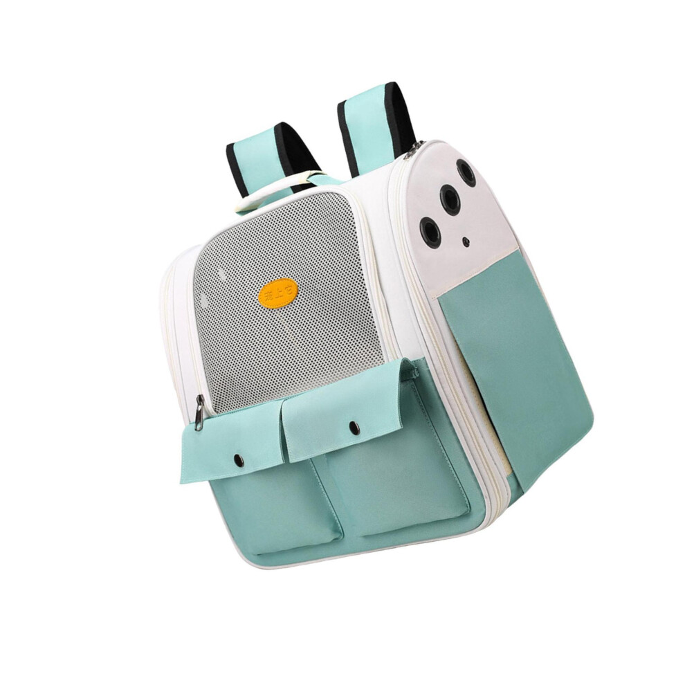 (Light Green, Type B) Adjustable Foldable Pet Travel Bag for Hiking and Walking Breathable-image-OPC-PKNBK7Q-NEW