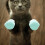 4pcs silicone cat boots anti-scratch nail cover 2