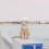 Pet Dog Sailor Hat Cosplay Cap Party Accessory 7