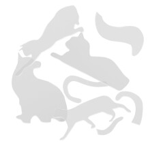 1 satz acryl-schablonen zum patchwork, und basteln für quilten